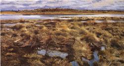 Bruno Andreas Liljefors The Curlews oil painting image